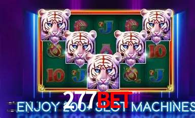 277bet